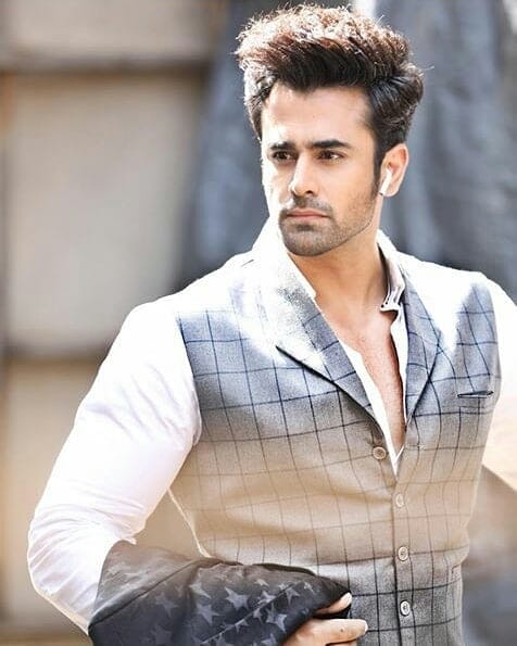 Pearl V Puri asks fans to feed strays instead of sending him birthday gifts