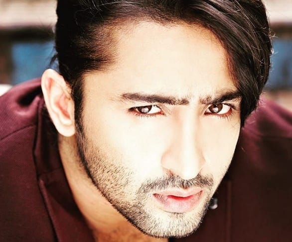 shaheer3-1
