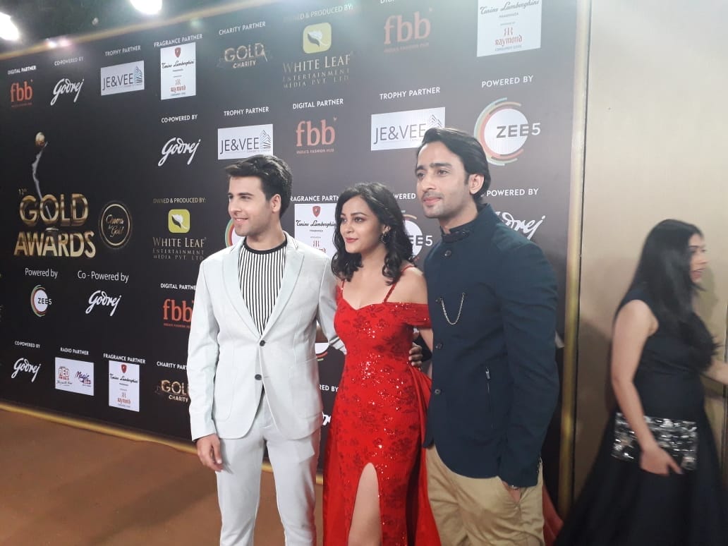 Vikaas Kalantri’s 12th Gold Awards was a rocking affair.