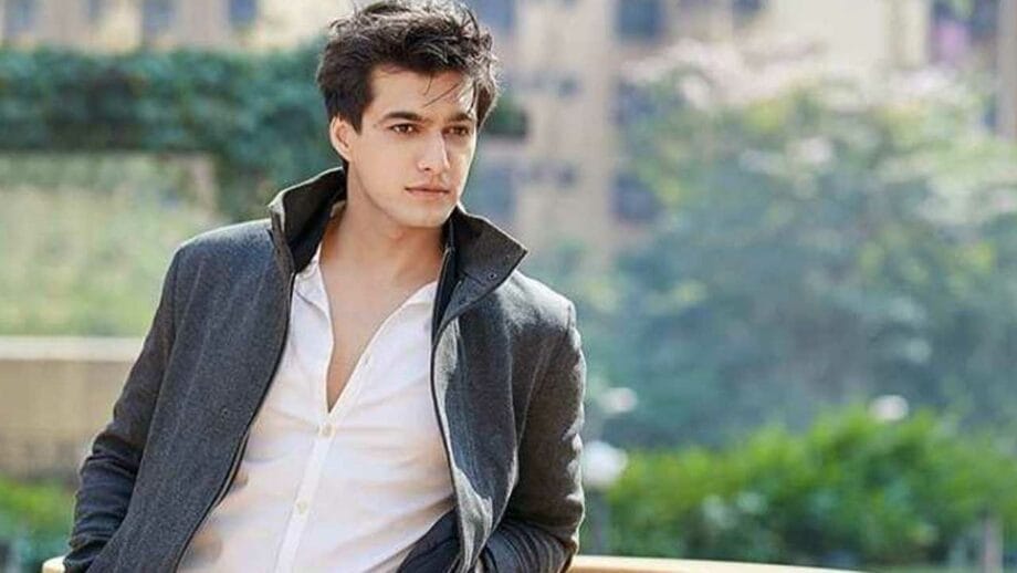 Highlight 2020: From Shaheer Sheikh to Mohsin Khan, top  ITV actors of the year!