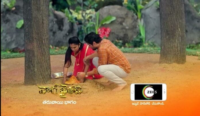WhatsApp Image 2021-08-15 at 11.52.25