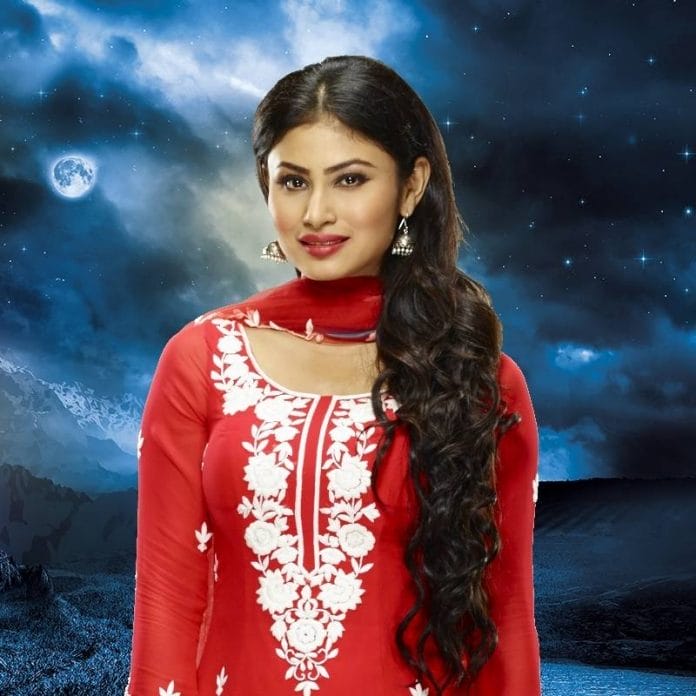 ‘Naagin 6’ to hit the screen next year, guess the lead