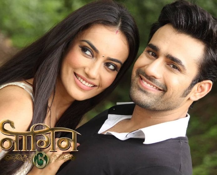 Choose your favorite Naagin couple!