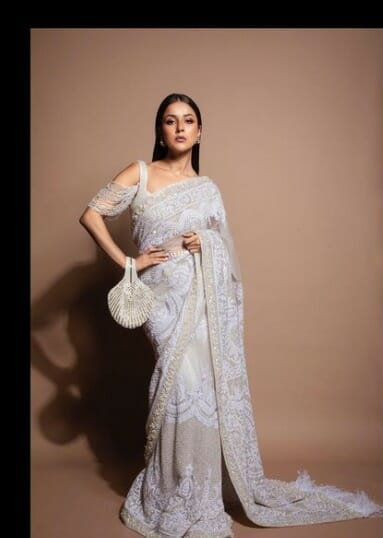 Shehnaaz Gill vs Jennifer Winget: who looks better in saree
