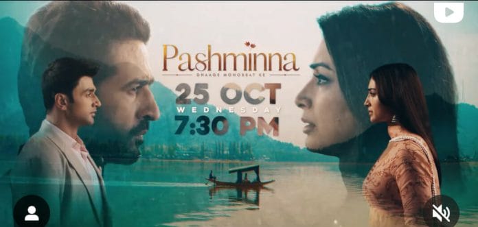 Pashminn
