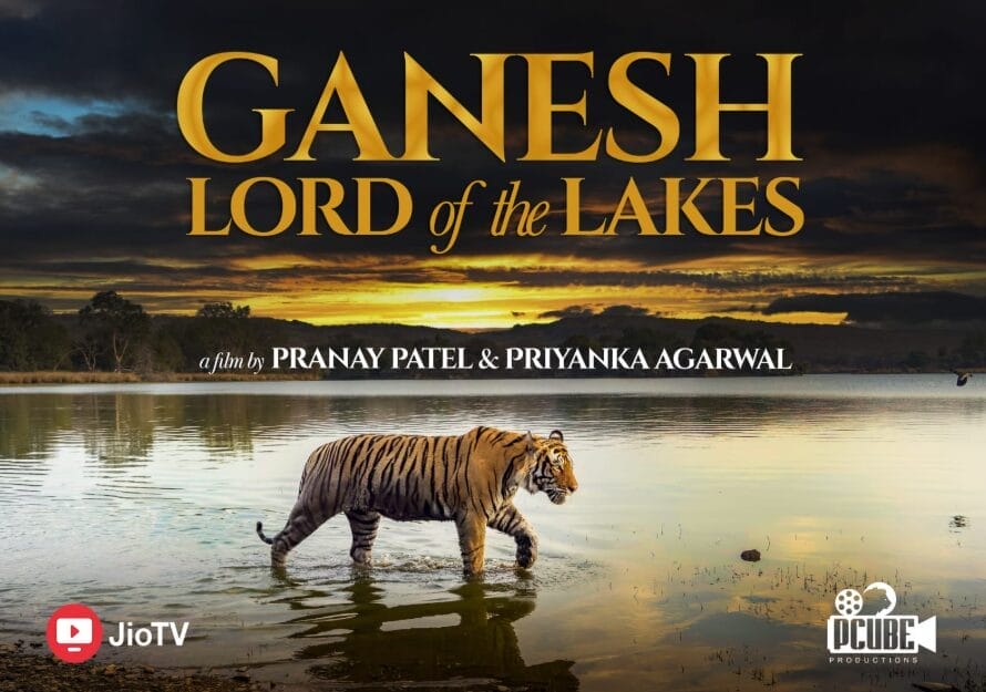 Pcube Productions Announces the Premiere of “Lord of the Lakes” on JioTV to Mark World Tiger Day