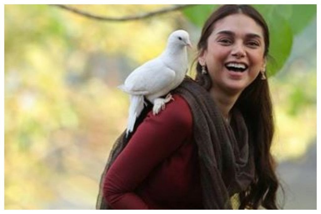 The Many Moods of Aditi Rao Hydari: From Period Dramas to Modern Romances